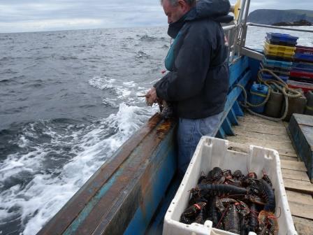 Handling the Catch Handling the Catch